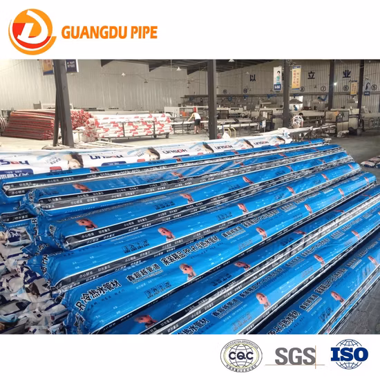 Polypropylene PPR Pipe for Cold and Hot Water Supply